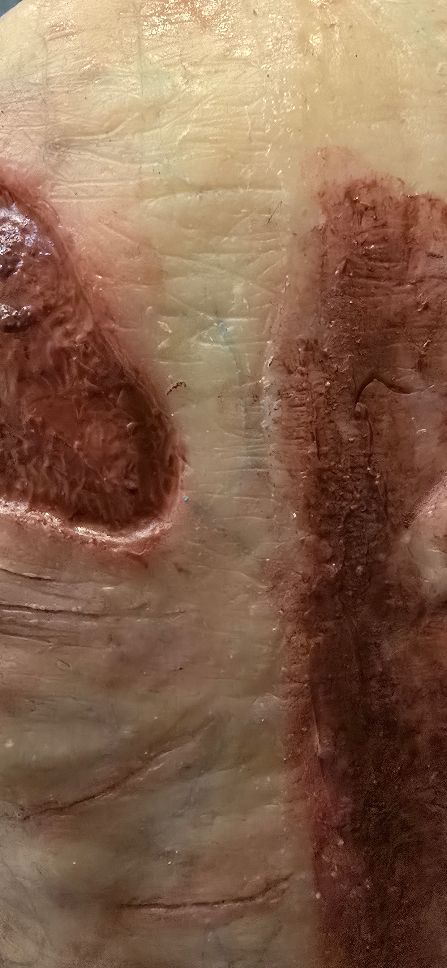 The Meat Freak - CloneClown's Playground