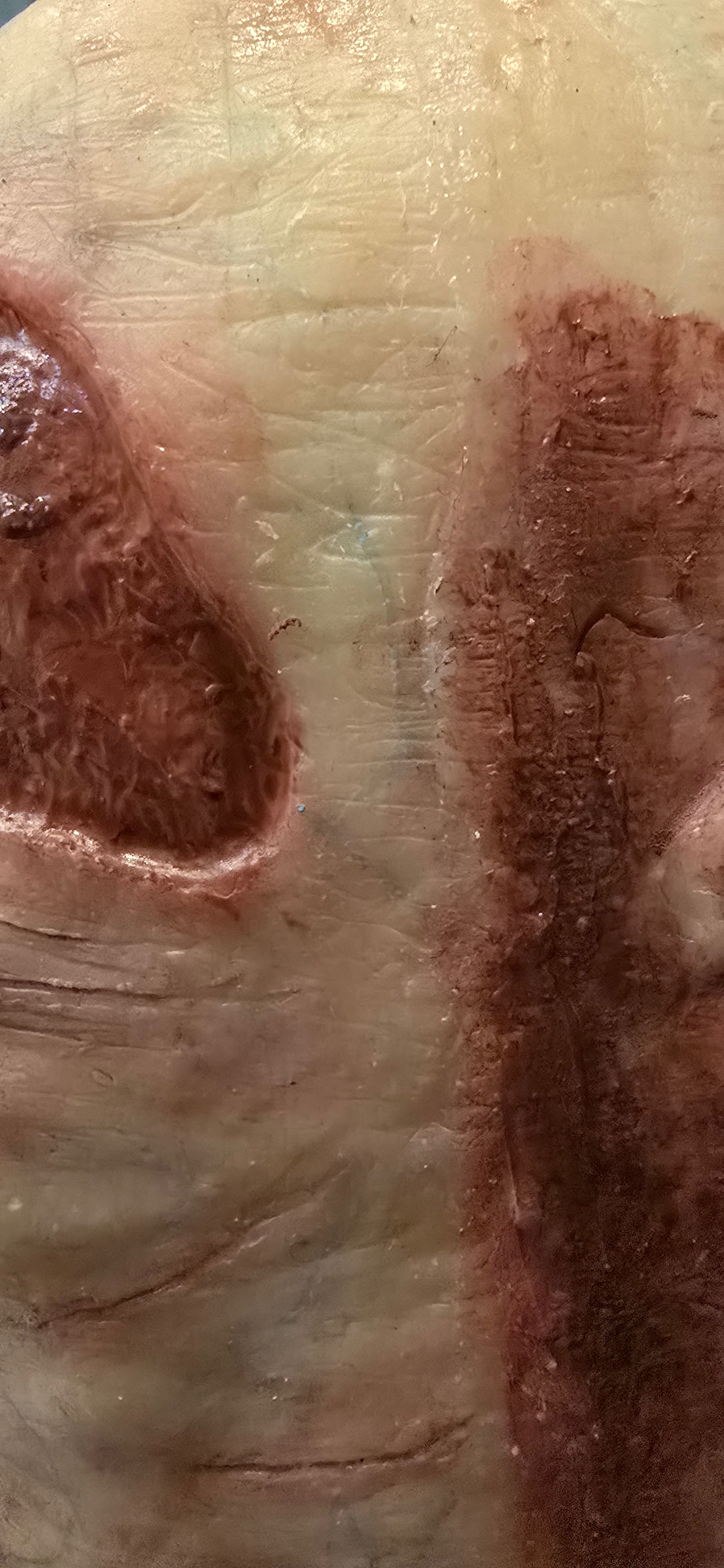 The Meat Freak - CloneClown's Playground