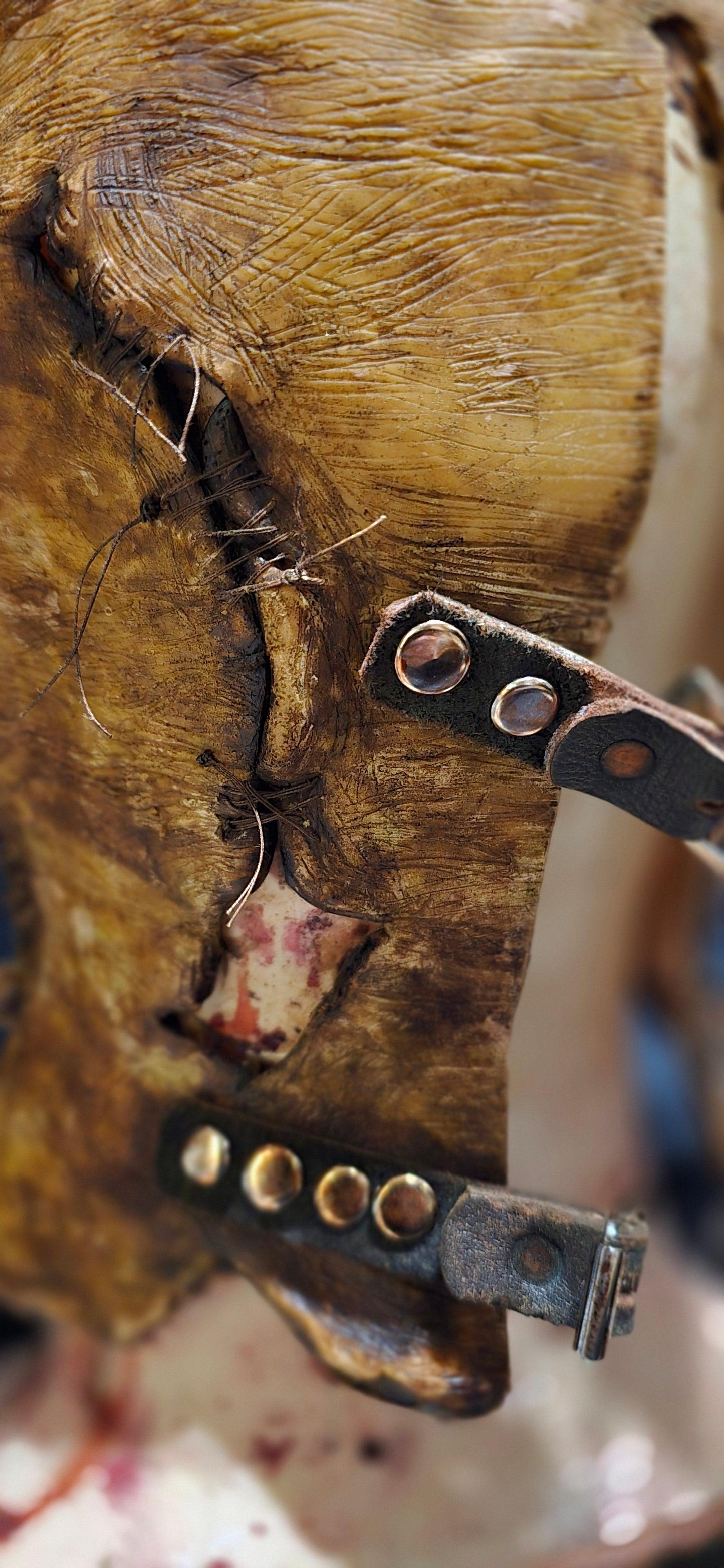 The Flesh Sculptor - CloneClown's Playground
