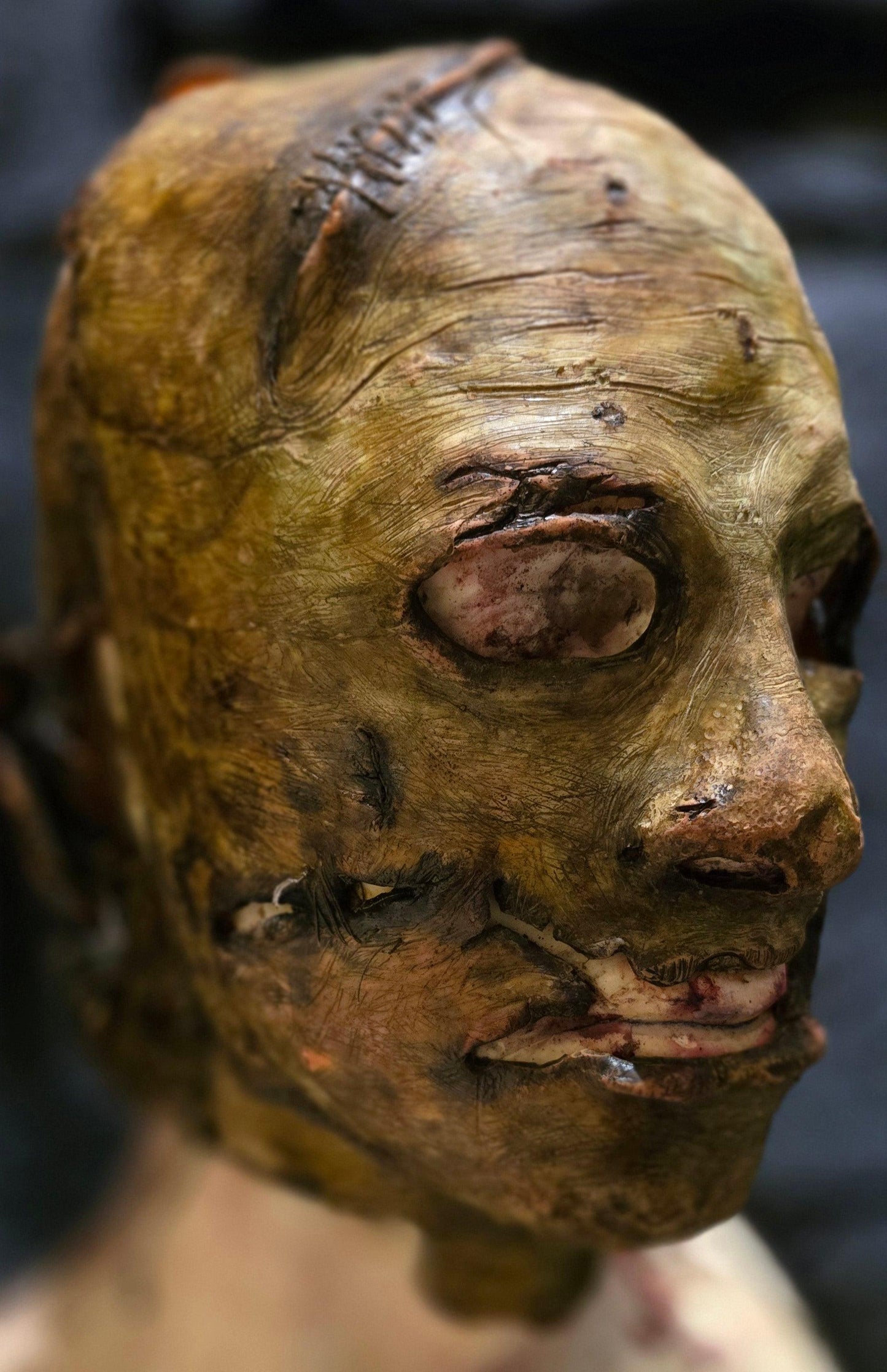 The Flesh Sculptor - CloneClown's Playground