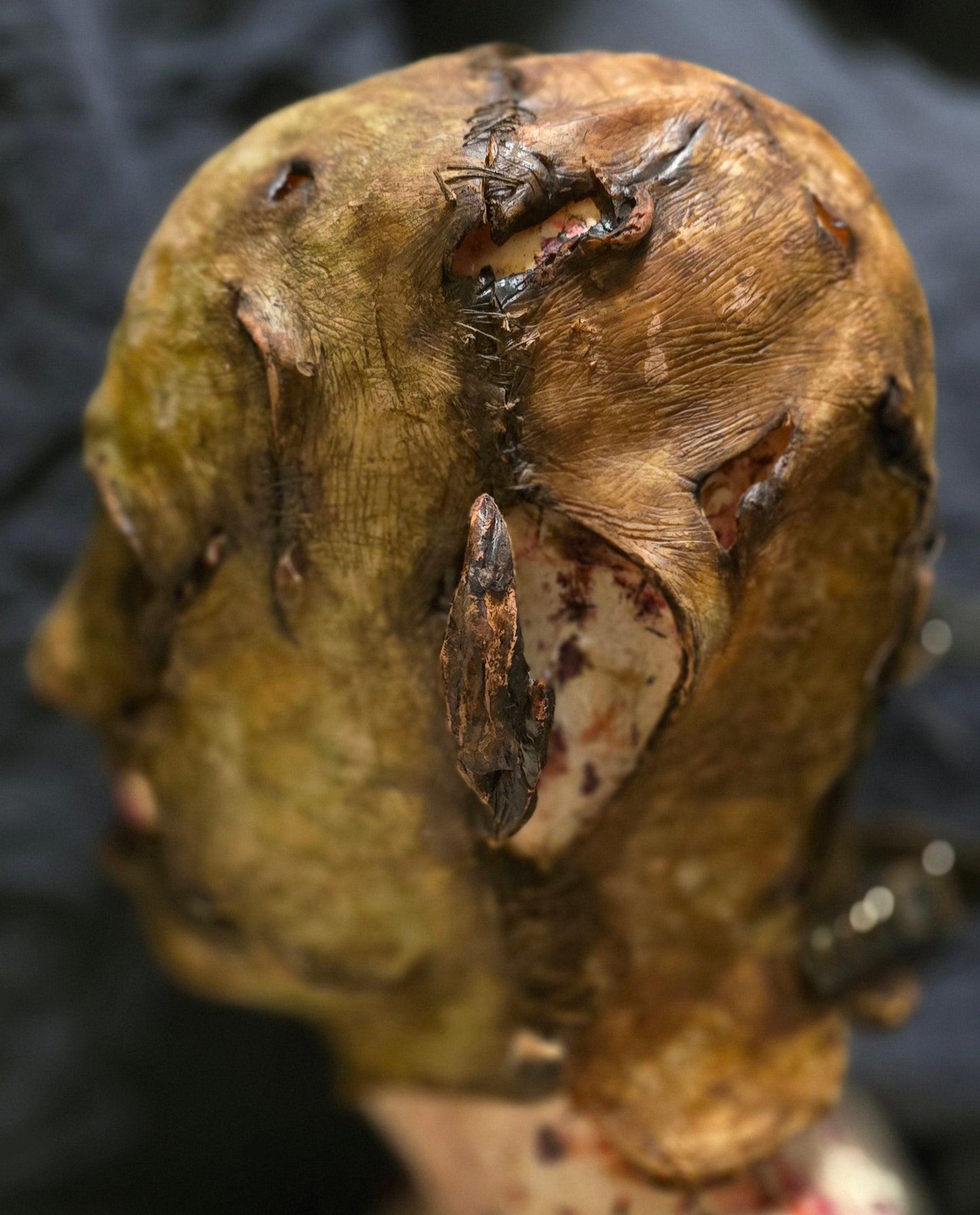 The Flesh Sculptor - CloneClown's Playground