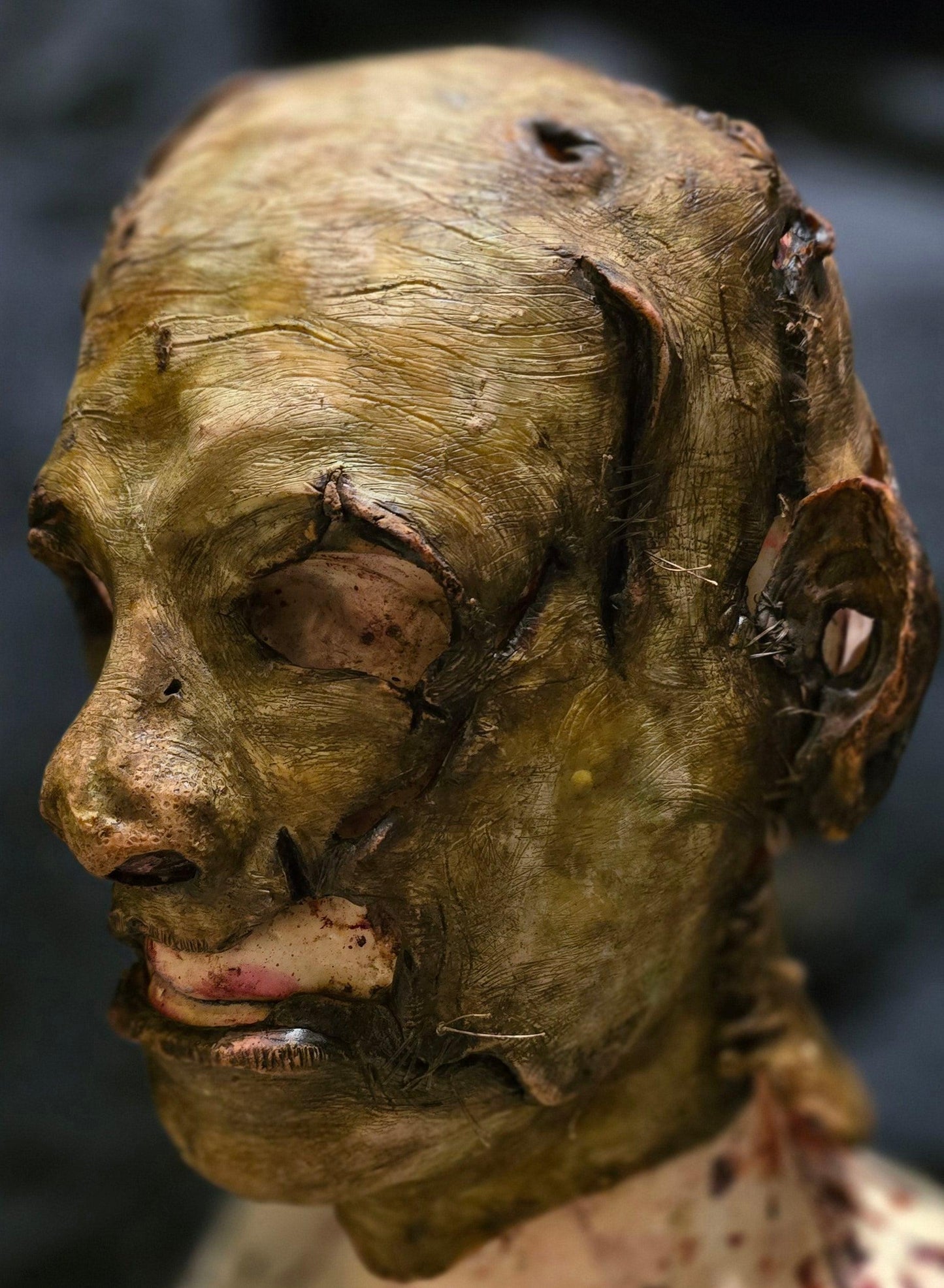 The Flesh Sculptor - CloneClown's Playground